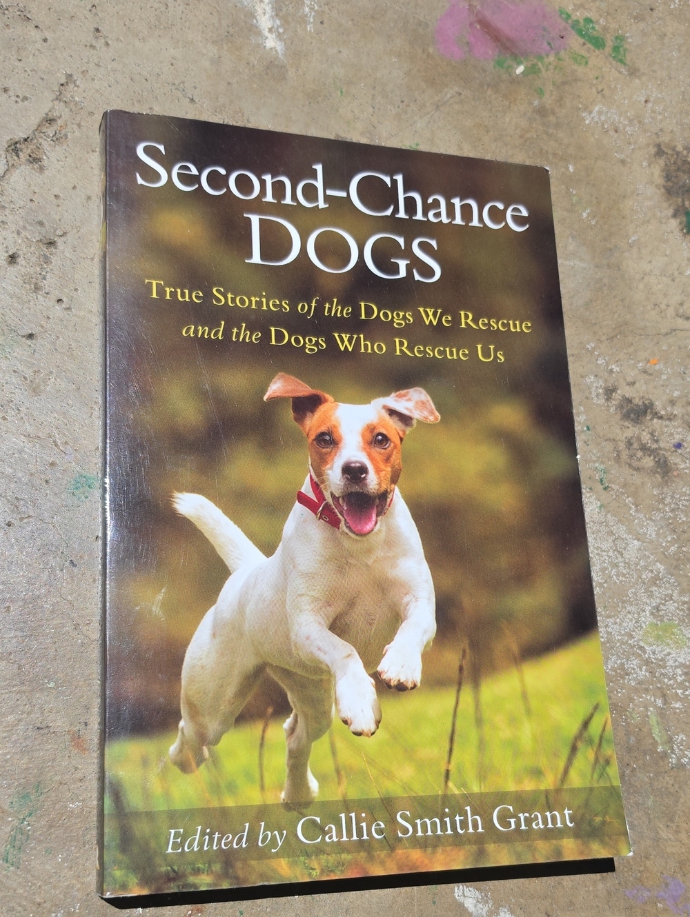 Paperbacks — Brown, White, Green Second-Chance Dogs